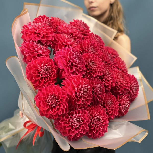 25 пышных красных георгин